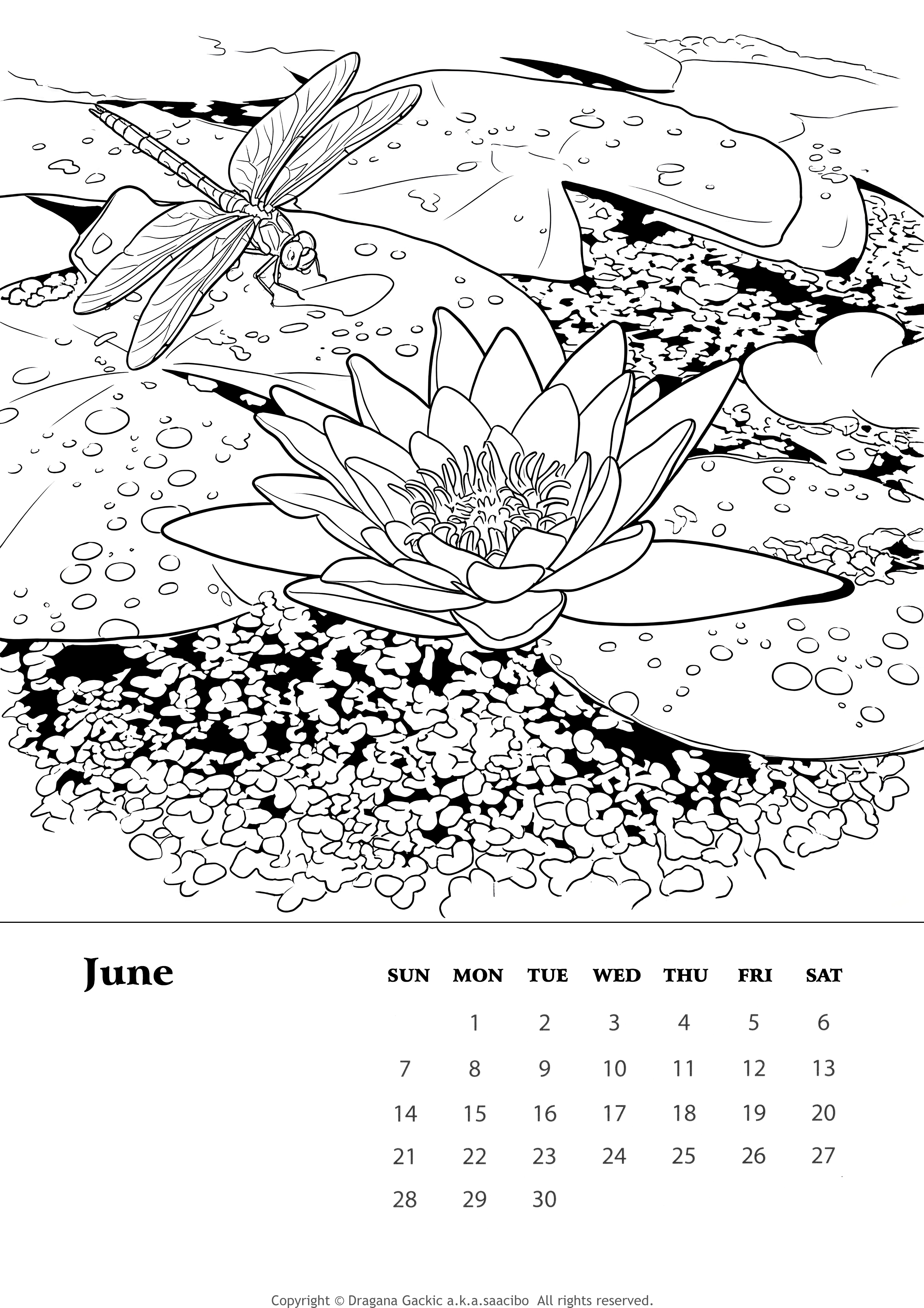 2026 Printable Coloring Wall Calendar A4 Size for Each Month diy