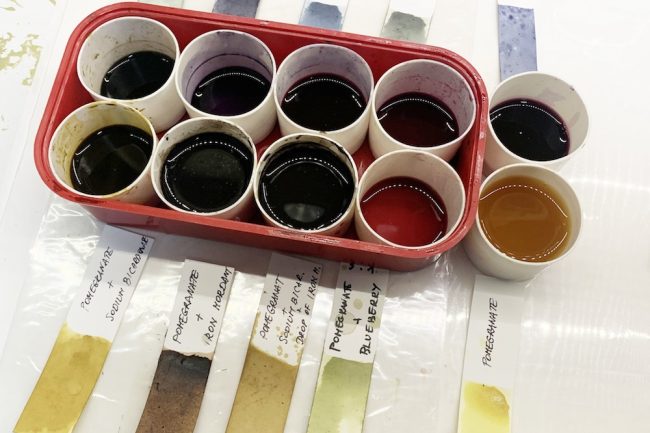 Natural dyeing with blueberries and pomegranates