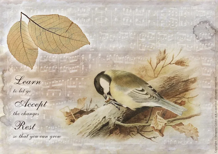 Nature's Slumber Collection Part 3 Autumn Inspired Printables