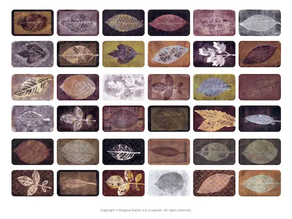 Saacibo Artsy Specimen Cards Labels