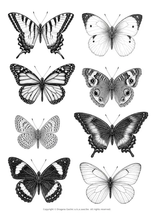 Free Vintage Black and White Butterfly Clipart: Printable Fussy Cuts for Junk Journals