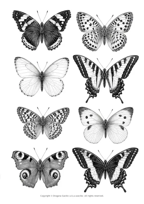 Free Vintage Black and White Butterfly Clipart: Printable Fussy Cuts for Junk Journals