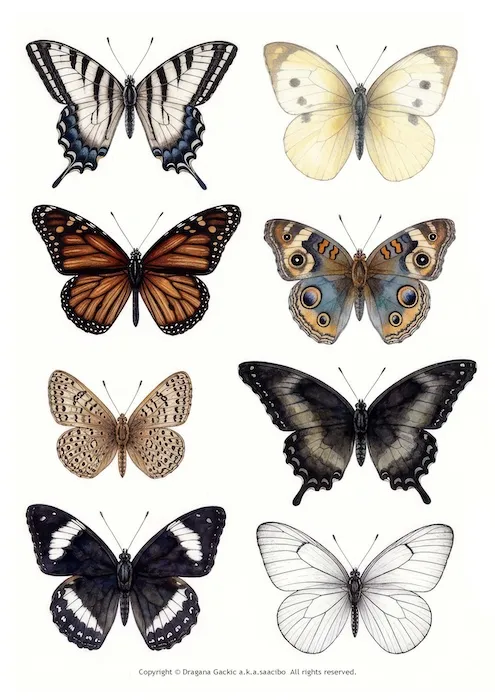 Free Vintage Black and White Butterfly Clipart: Printable Fussy Cuts for Junk Journals