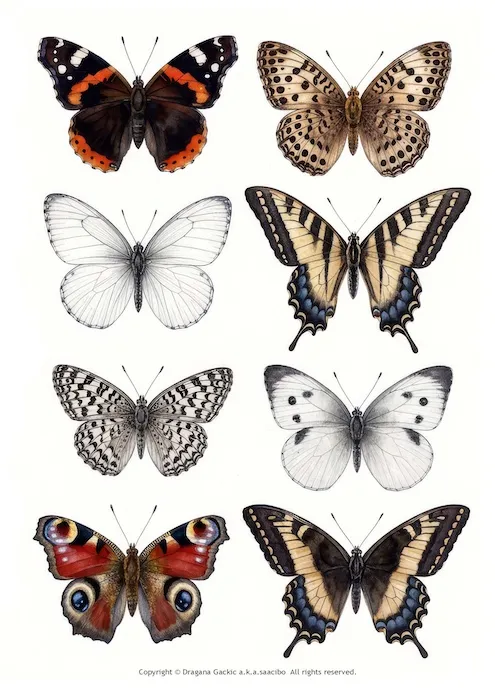 Free Vintage Black and White Butterfly Clipart: Printable Fussy Cuts for Junk Journals
