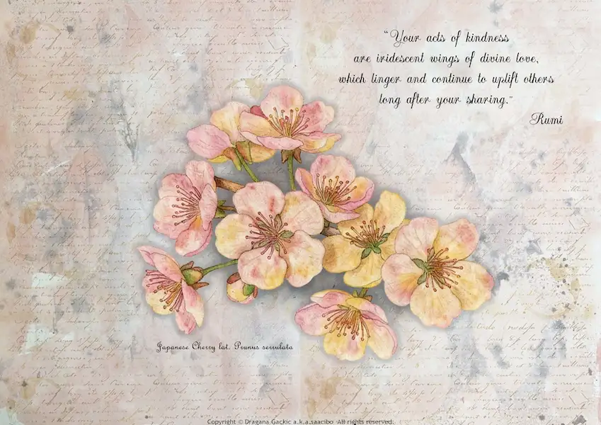 Inspired by Cherry blossom branch paired with a profound quotes