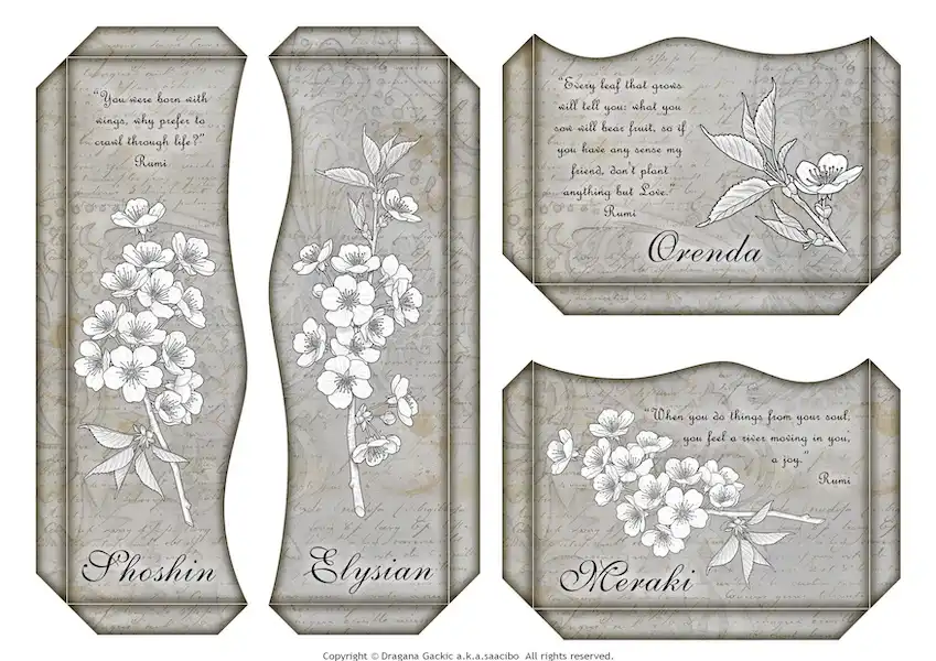 Inspired by Cherry blossom branch paired with a profound quotes