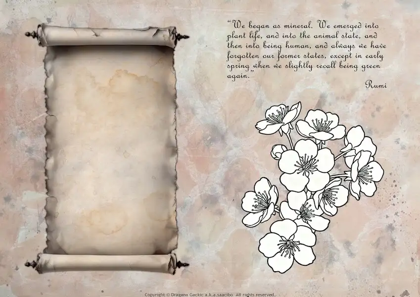 Inspired by Cherry blossom branch paired with a profound quotes