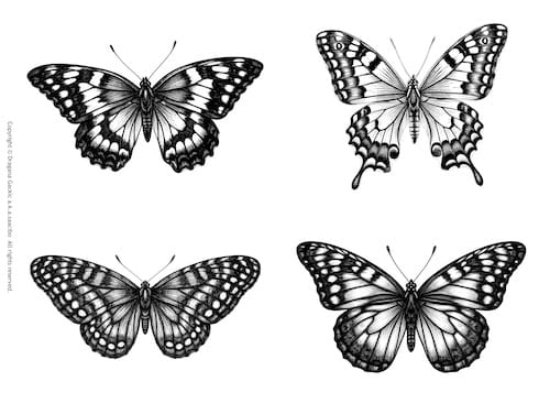 Saacibo_ColoringBooks_Freebie_Butterfly FussyCut