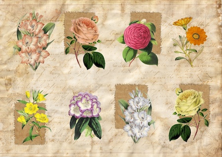 Diy Old Photos Printable