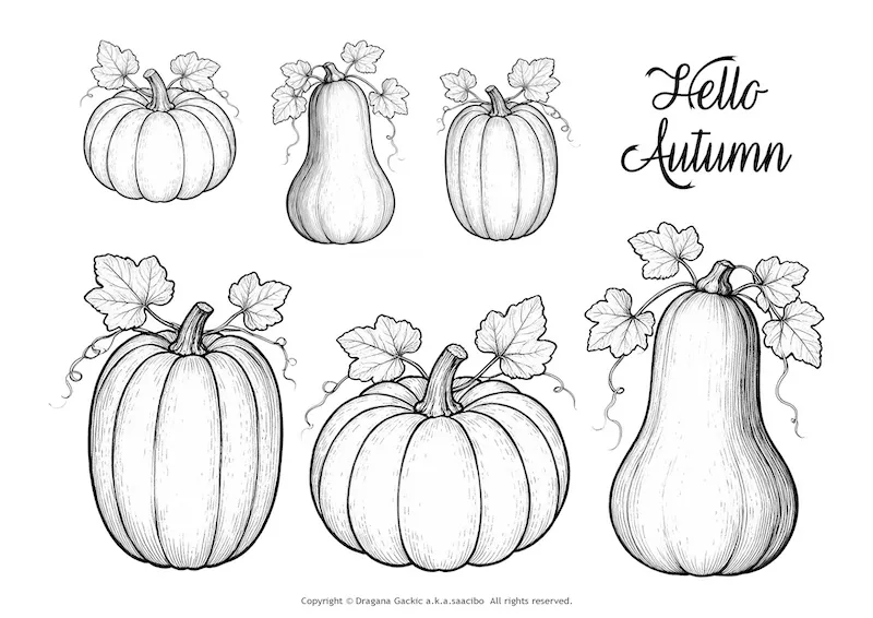 Free Pumpkin Papers Coloring Pages