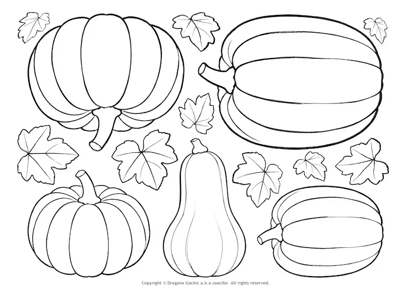 Free Pumpkin Papers Coloring Pages