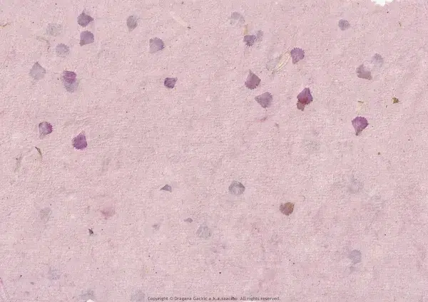 Handmade Paper Collection Page 03