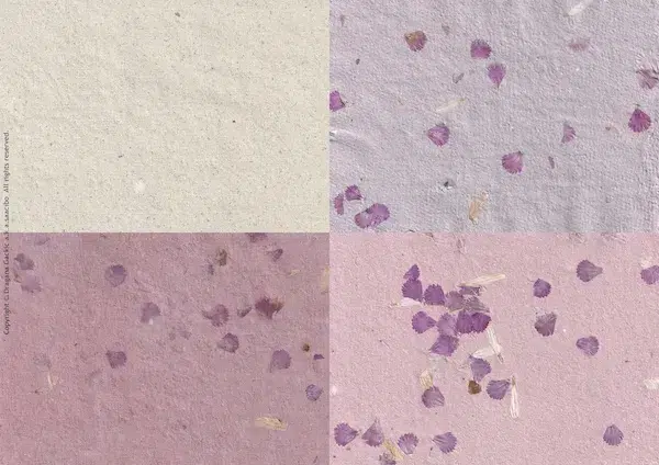 Handmade Paper Collection Page 11