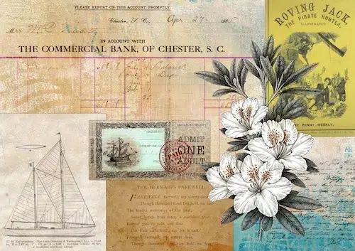 Saacibo Sea & Ocean Inspired