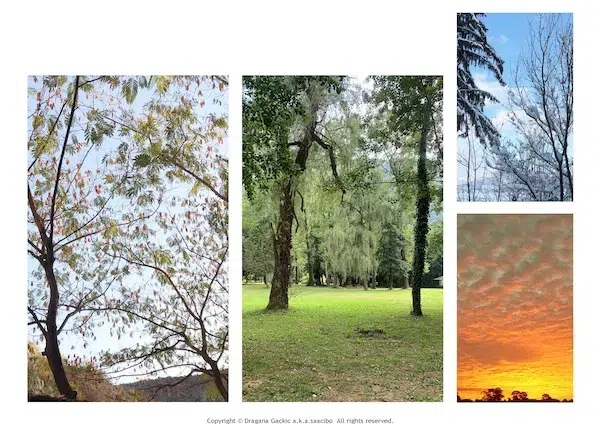 Landscapes: Window Inserts - Original Nature Photography